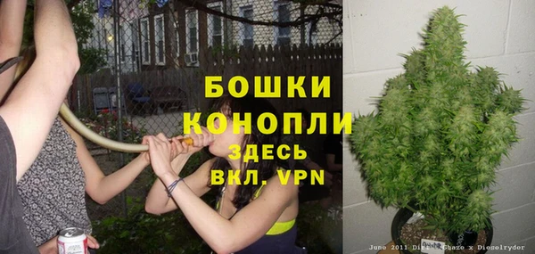 метадон Новозыбков