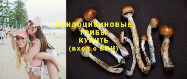 метадон Новозыбков