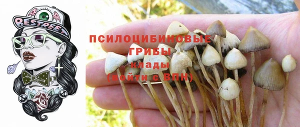 метадон Новозыбков