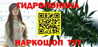 ECSTASY Апшеронск