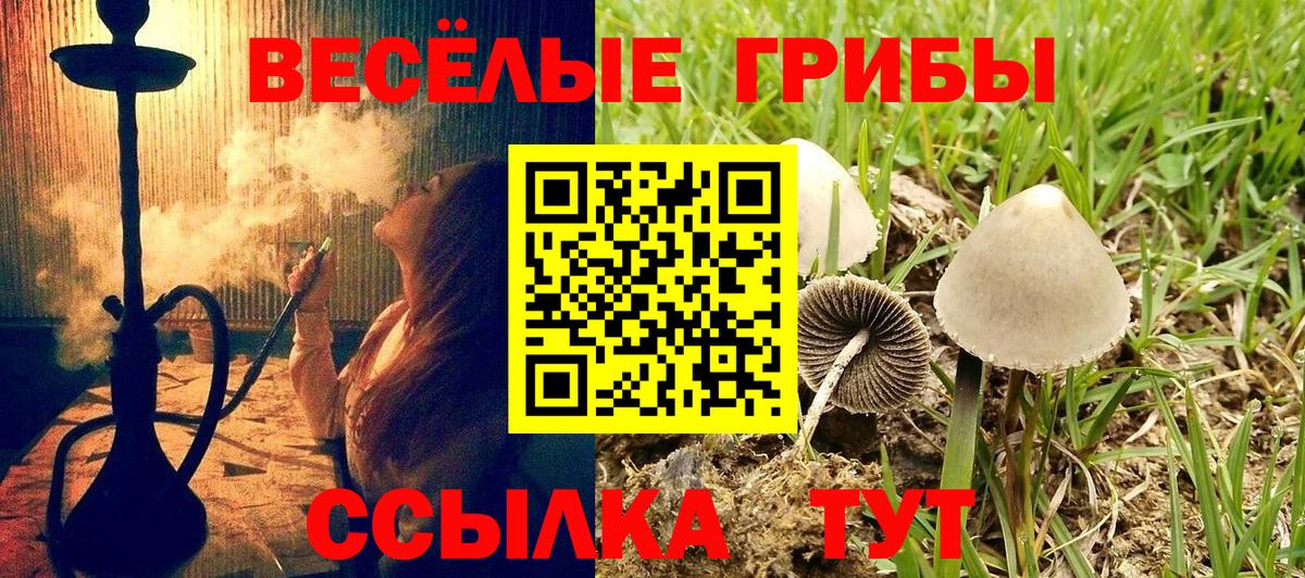 Череповец  Псилоцибиновые грибы ЛСД  Вход с VPN 